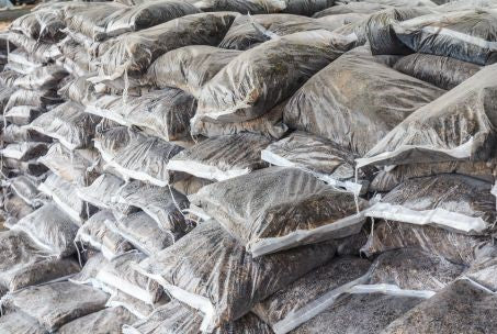5kg Bag of Fertilizer