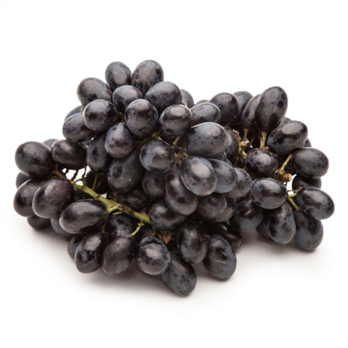 Victoria Grape Plant (Black Seedless)