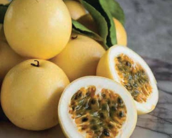 Planta de Mburucuya Dulce pequeño