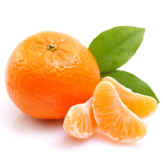 Ponkan Mandarin Plant 1.5m