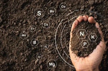 Fertilization service