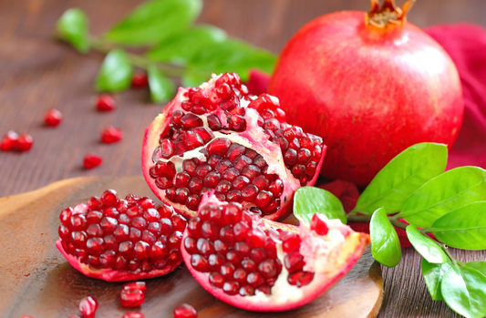 Small pomegranate plant
