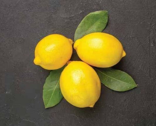 Sicilian Lemon Plant 1.2m