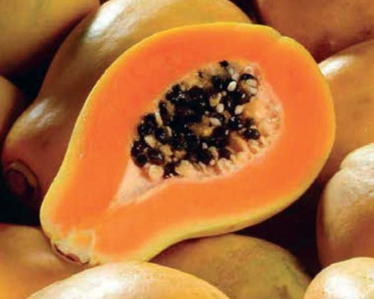Mamon Plant