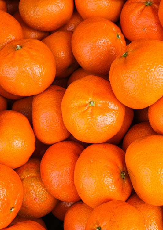 Mexerica Mandarin Plant 1.5m