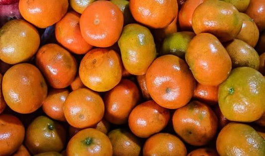 River Mandarin Plant