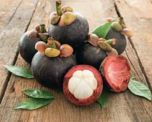 Mangosteen