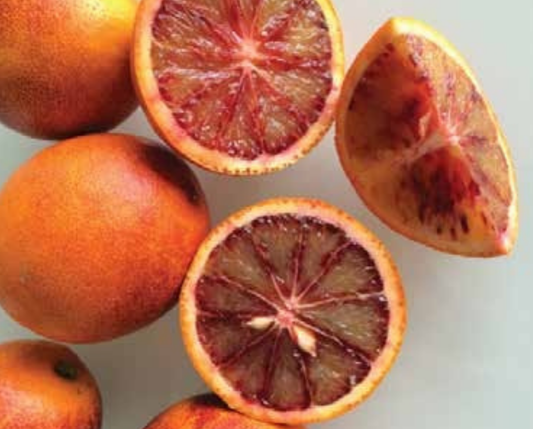 Cara Cara Blood Orange Plant 1m
