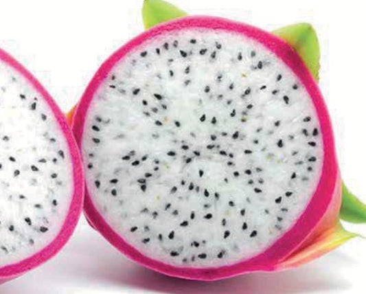 Pitaya-Pflanze mit weißem Fruchtfleisch