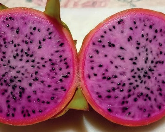 Pitaya plant with purple pulp