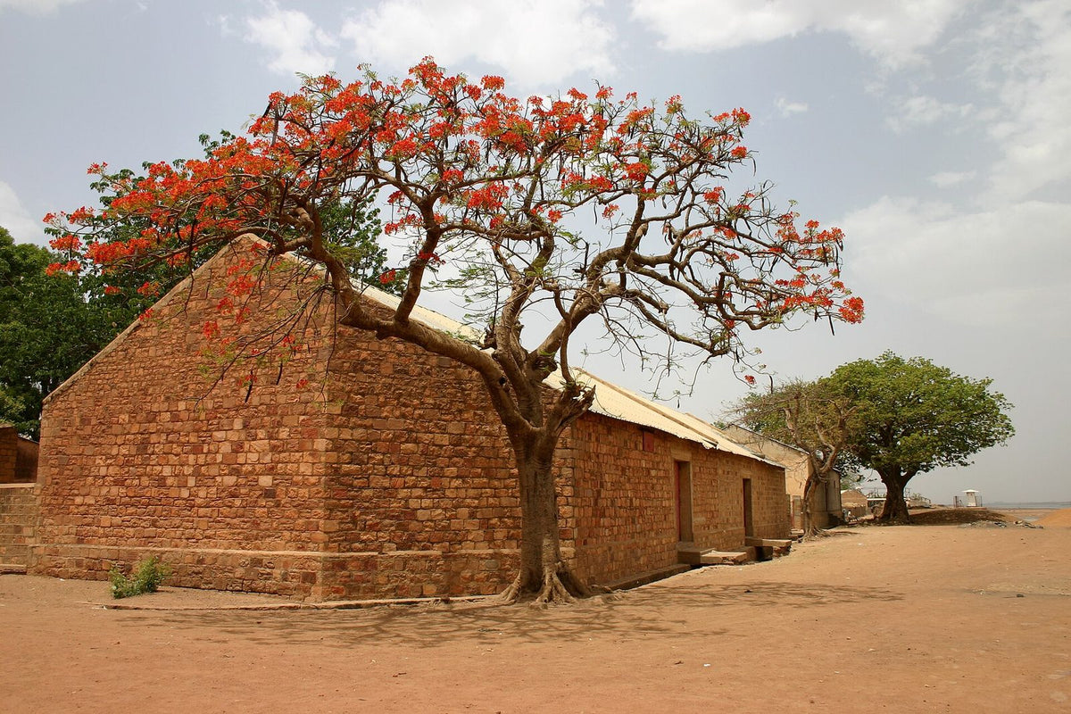 Chivato, planta de Pomelero