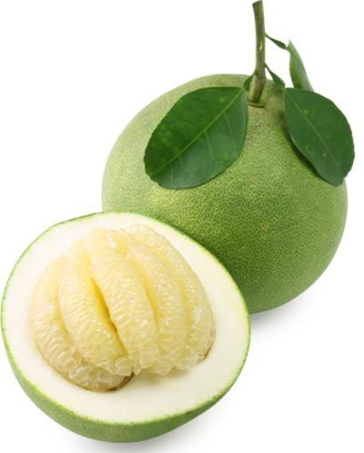 White Grapefruit Plant