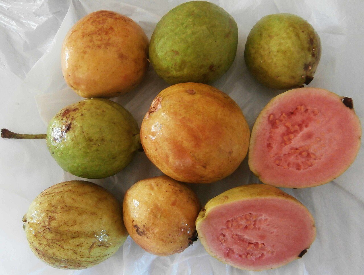 Guayaba Morada, planta de Pomelero