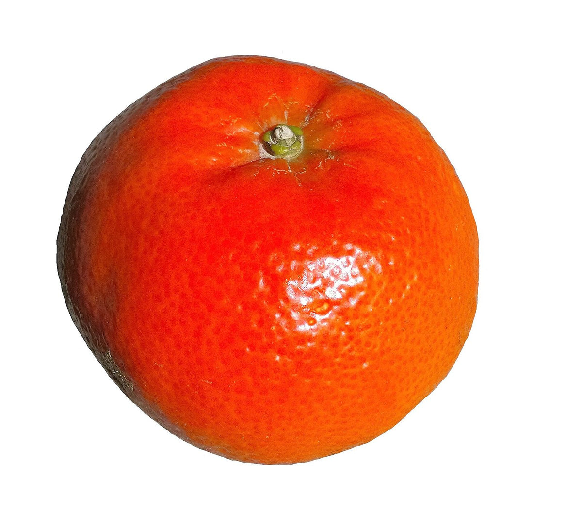Mandarina De Río, planta de Pomelero