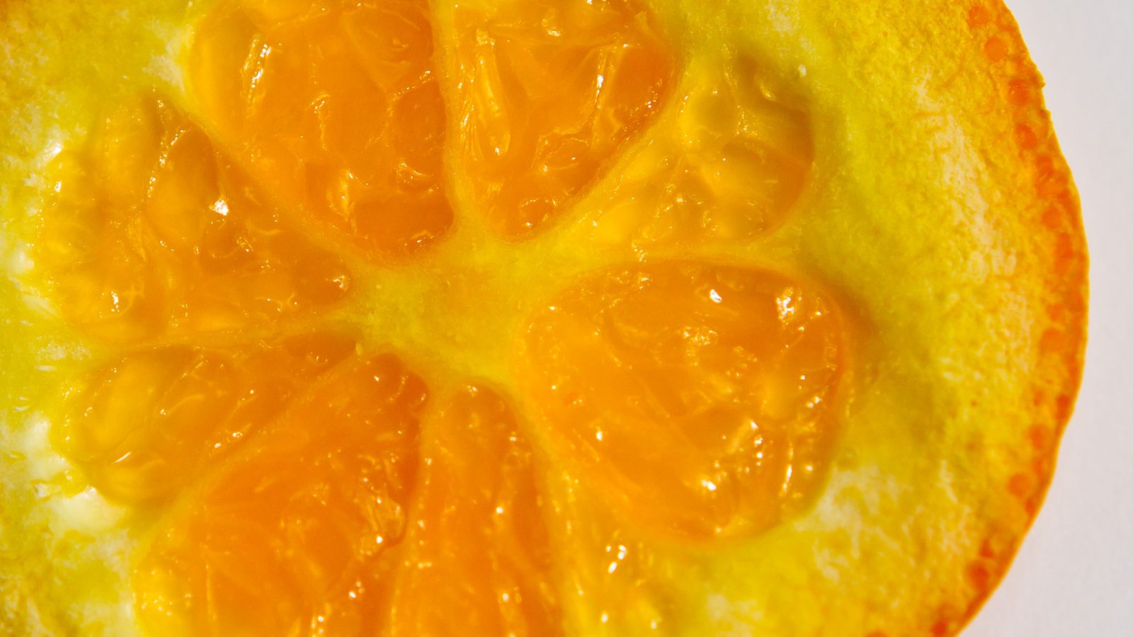 Naranja Azúcar, planta de Pomelero