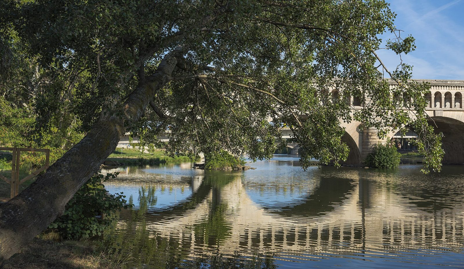 ALAMO, fotografía real de referencia