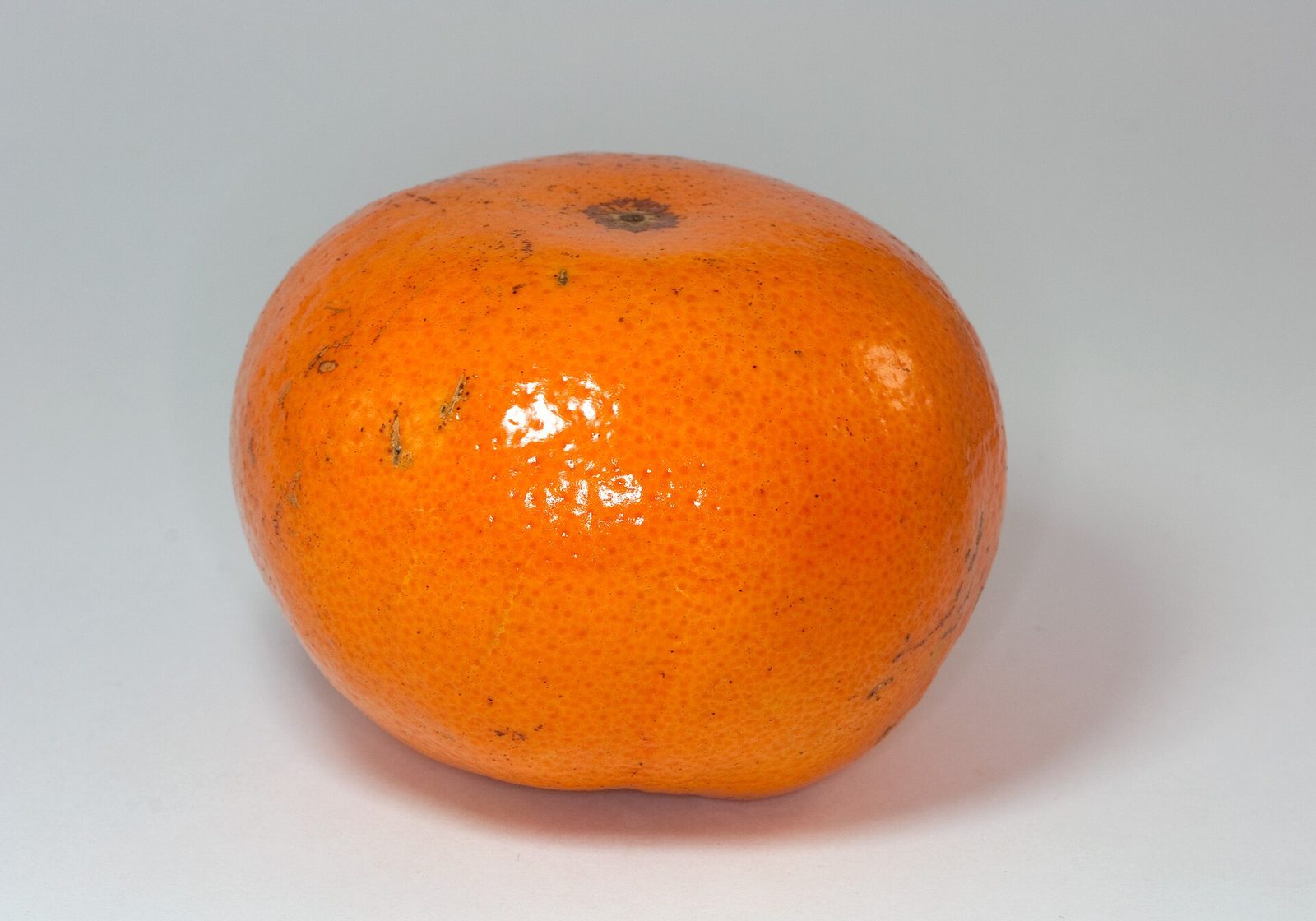 MANDARINA MURCOTT, fotografía real de referencia