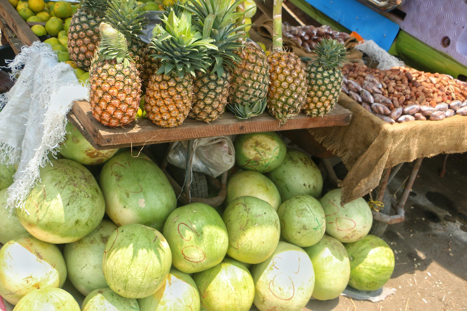 PIÑA, fotografía real de referencia